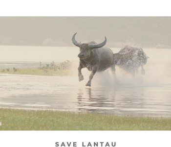 ランタオ島 香港