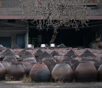 クウトンノース