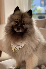 升級版真絲方巾 Poka Dot